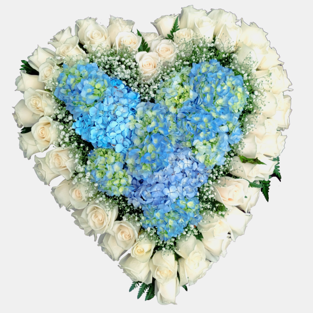 CORAZON DE HORTENSIAS